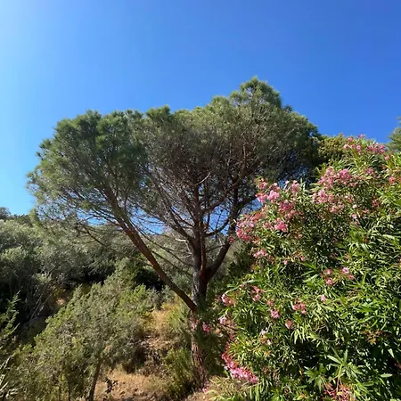 Corse Sea View 180 Ac 4 Bedeooms Sleeps 10 Serra-di-Ferro (Corsica)
