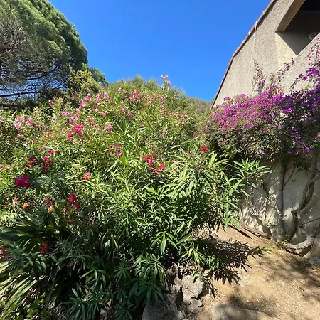 Corse Sea View 180 Ac 4 Bedeooms Sleeps 10